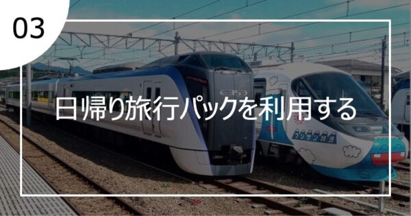 03日帰り旅行パックを利用する