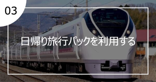 03日帰り旅行パックを利用する