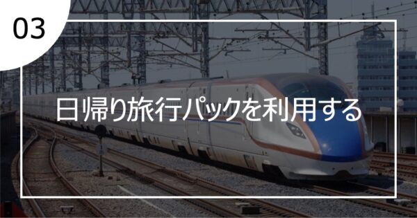 03日帰り旅行パックを利用する