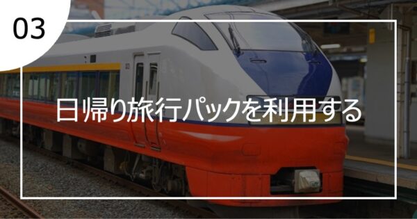 03日帰り旅行パックを活用する