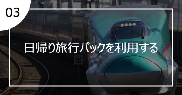 03日帰り旅行パックを利用する
