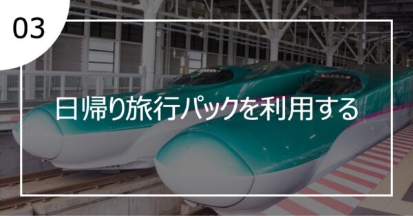 03日帰り旅行パックを利用する