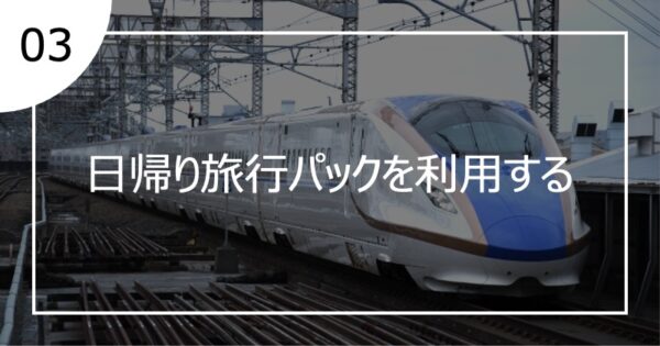 03日帰り旅行パックを利用する