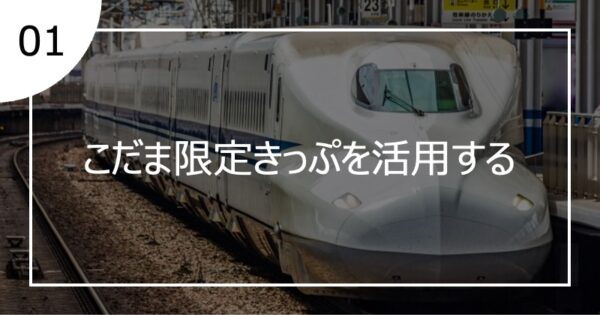 01こだま限定きっぷを活用する