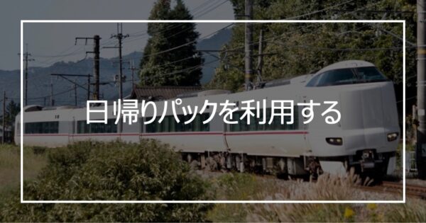 日帰りパックを利用する