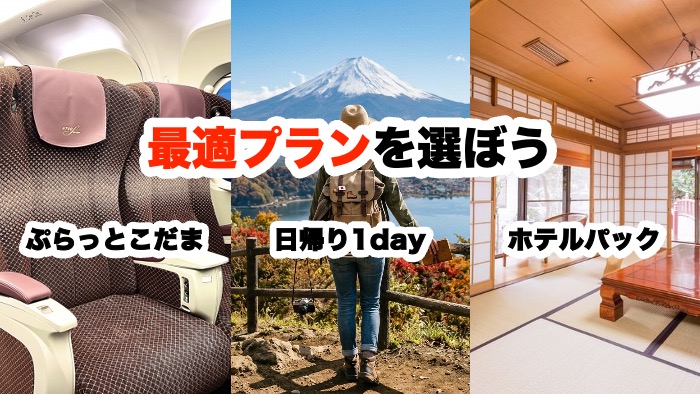 最適プランを選ぼう ぷらっとこだま 日帰り1day ホテルパック